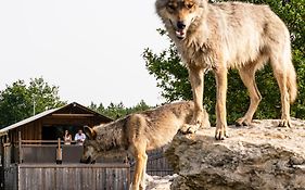 Lodges insolites chez RDV en Terre Animale